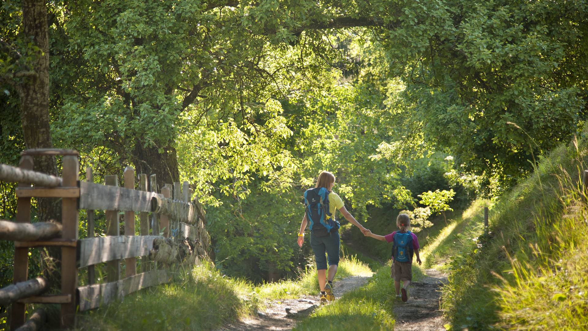 <p>Alpe Adria Trail, entlang alter Streuobstwiesen</p>