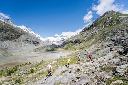 Großglockner Berglauf