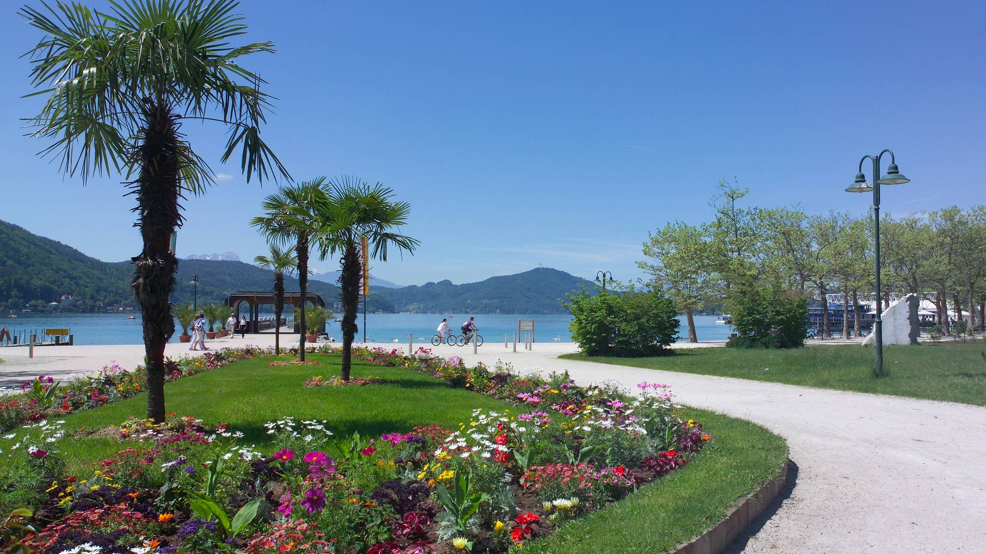 Frühling am Wörthersee