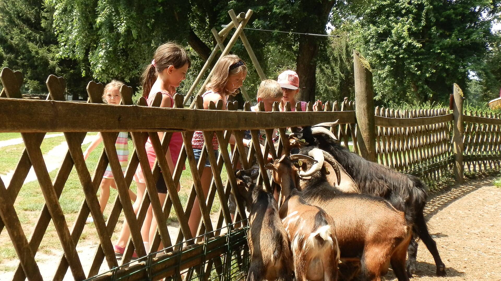 Tierpark Rosegg