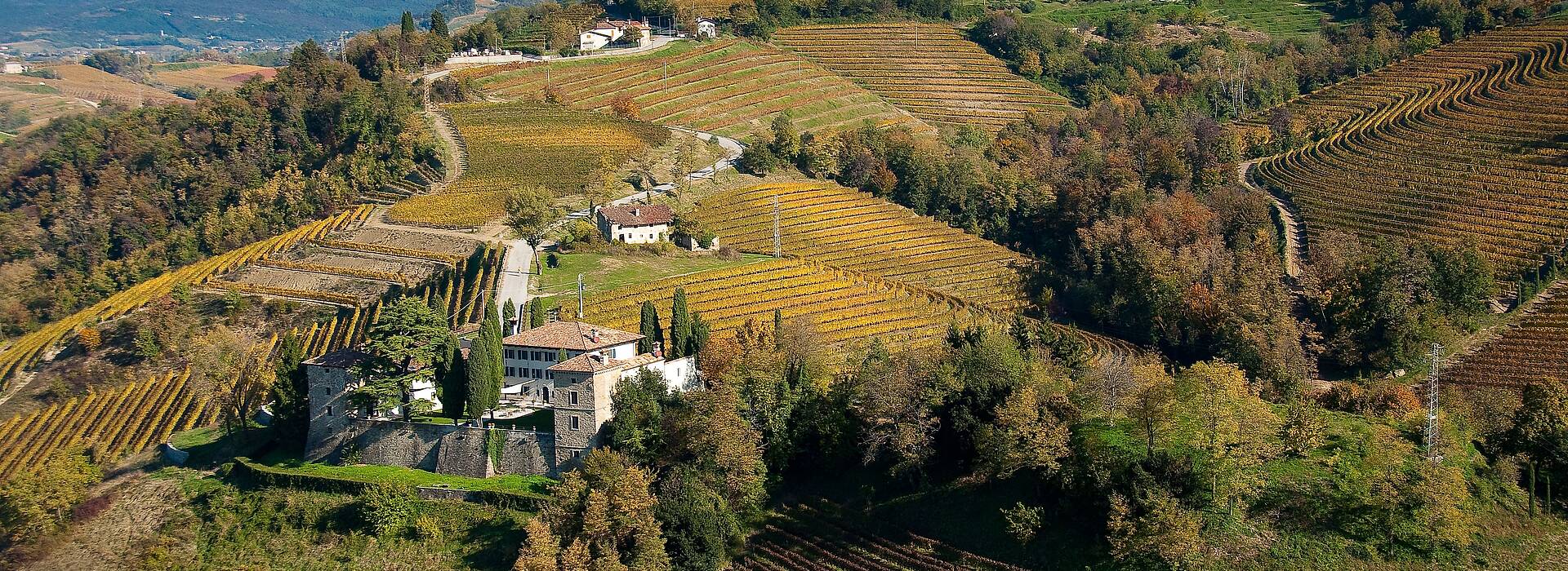 <p>Colli Orientali del Friuli</p>