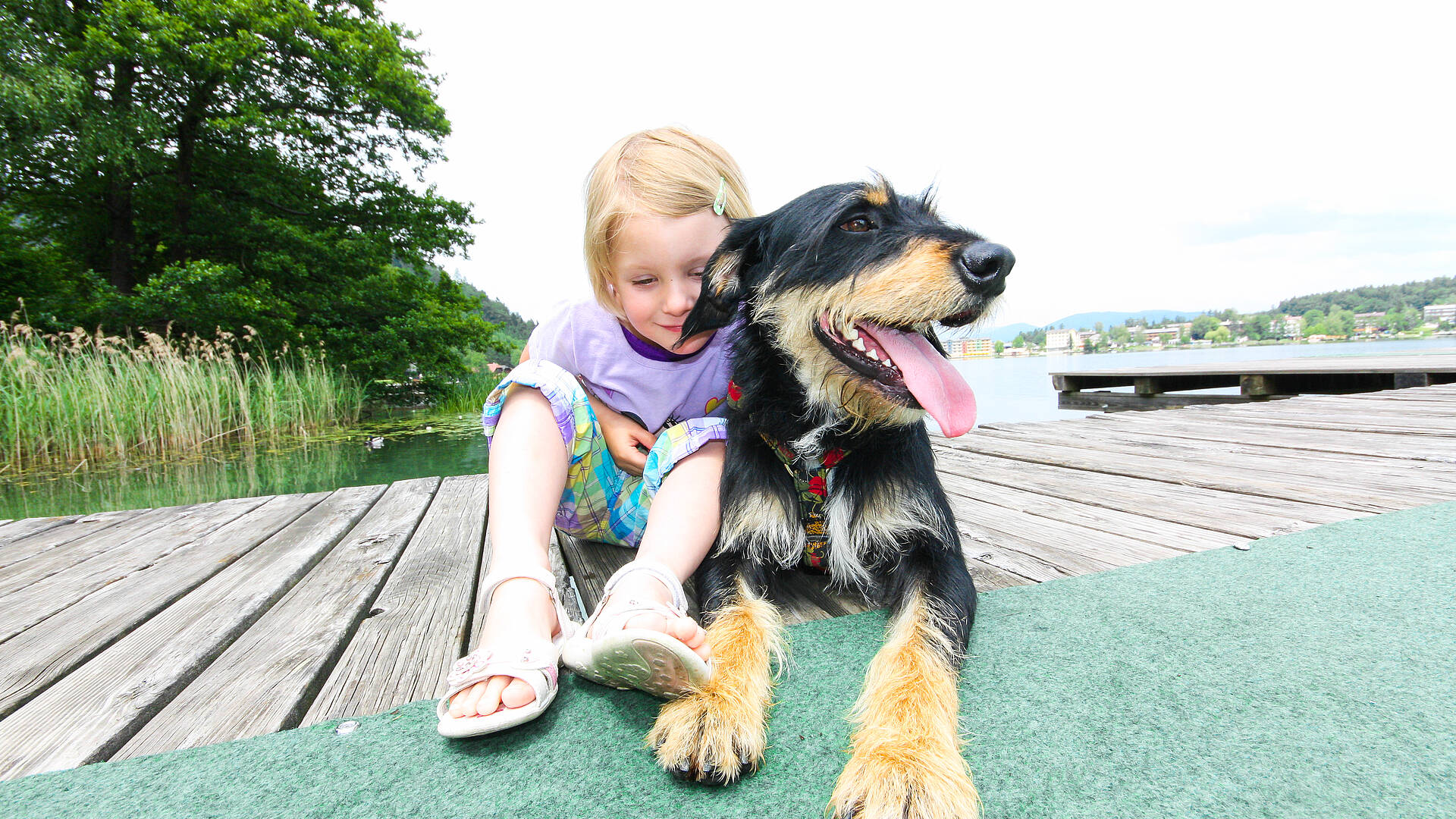 Beste Freunde – Mädchen mit Hund am Badesteg