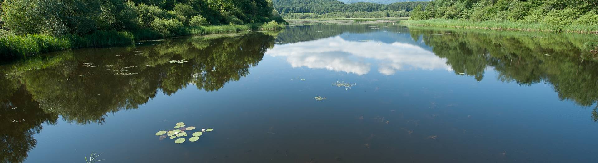 Kärnten Naturerleben