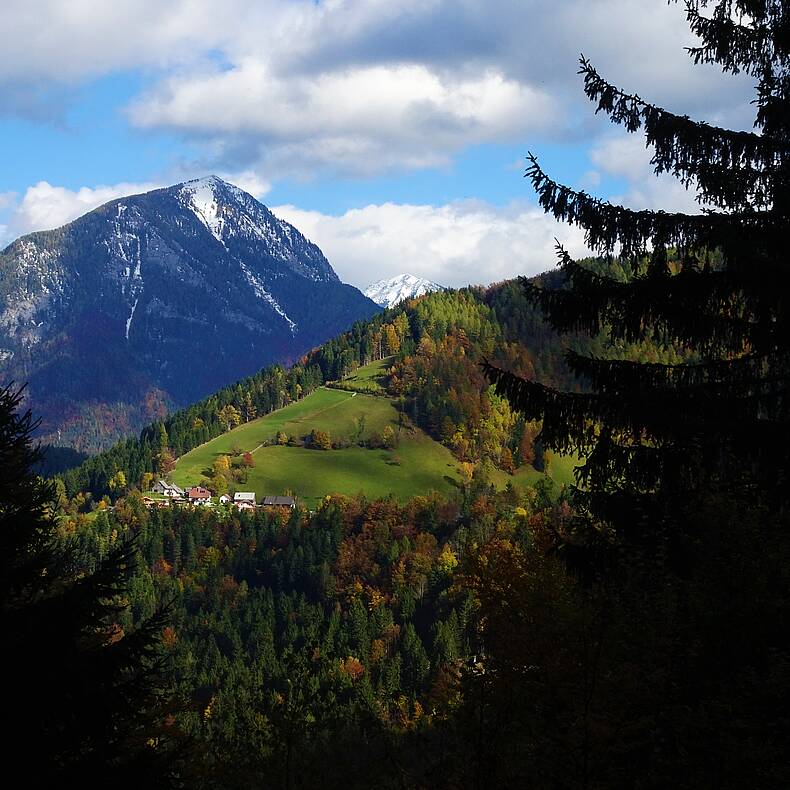 Herbstspaziergang durch den Hajnžgraben, Zell-Pfarre