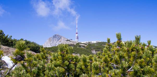 <p>Wandern am Dobratsch, Sender am Dobratsch</p>