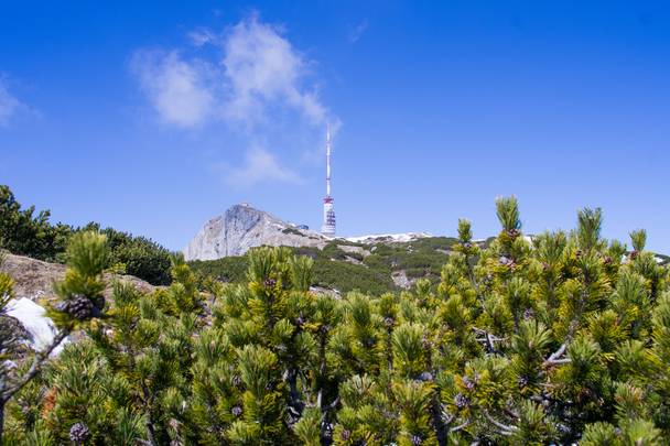 <p>Wandern am Dobratsch, Sender am Dobratsch</p>