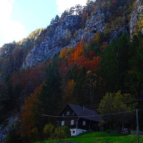 Herbstspaziergang durch den Hajnžgraben, Zell-Pfarre