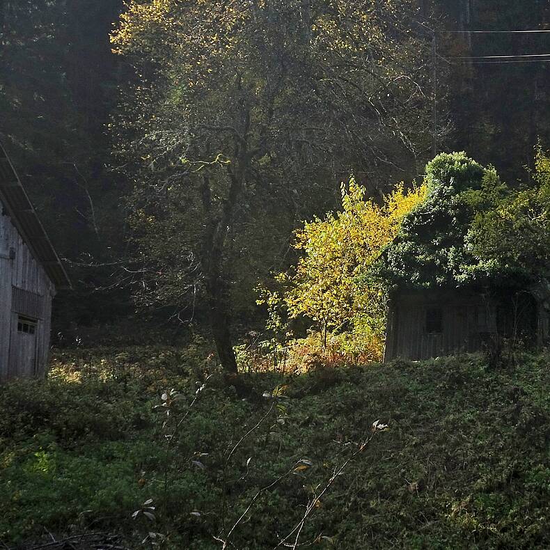 Herbstspaziergang durch den Hajnžgraben, Zell-Pfarre