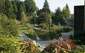 Botanischer Garten im Kärntner Botanikzentrum in Klagenfurt