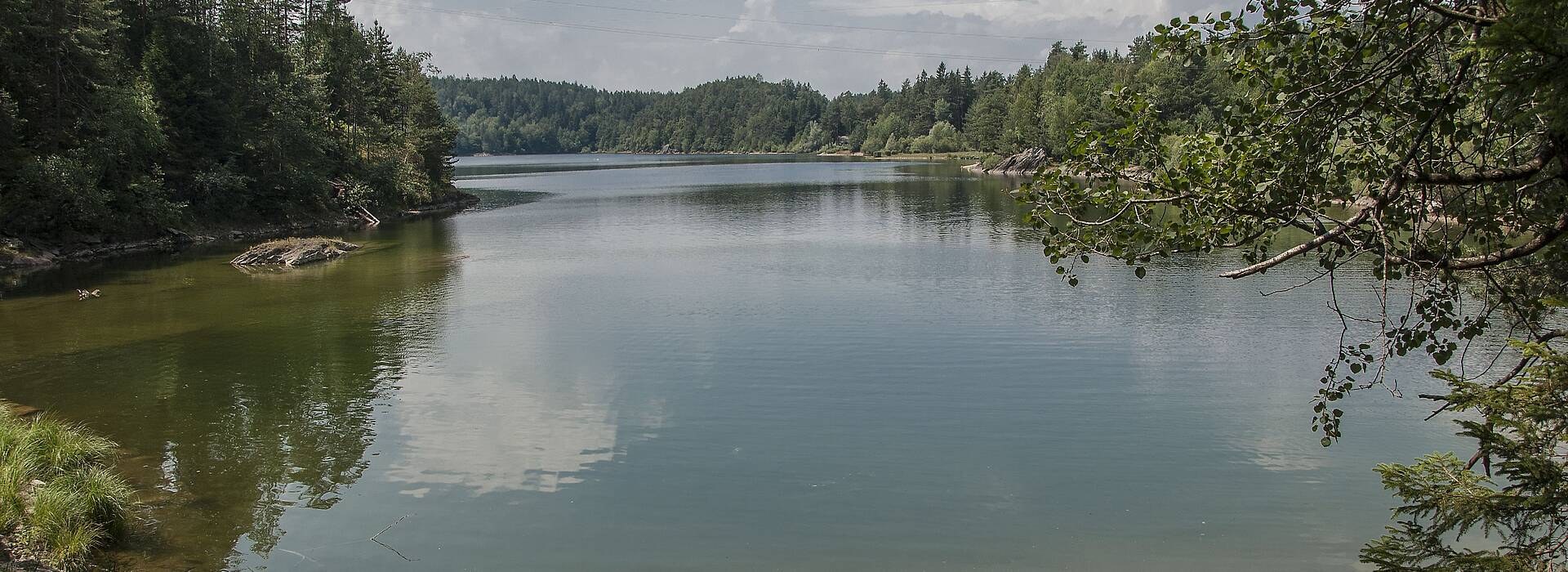 Forstsee in Techelsberg am Wörthersee