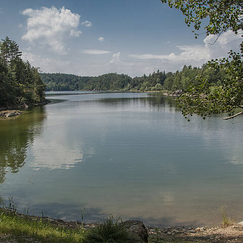 Forstsee in Techelsberg am Wörthersee