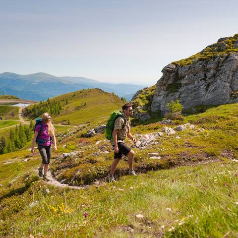 <p>Alpe Adria Trail, in den Nockbergen</p>