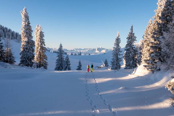 <p>Region Villach Schneeschuhwandern am Dobratsch</p>