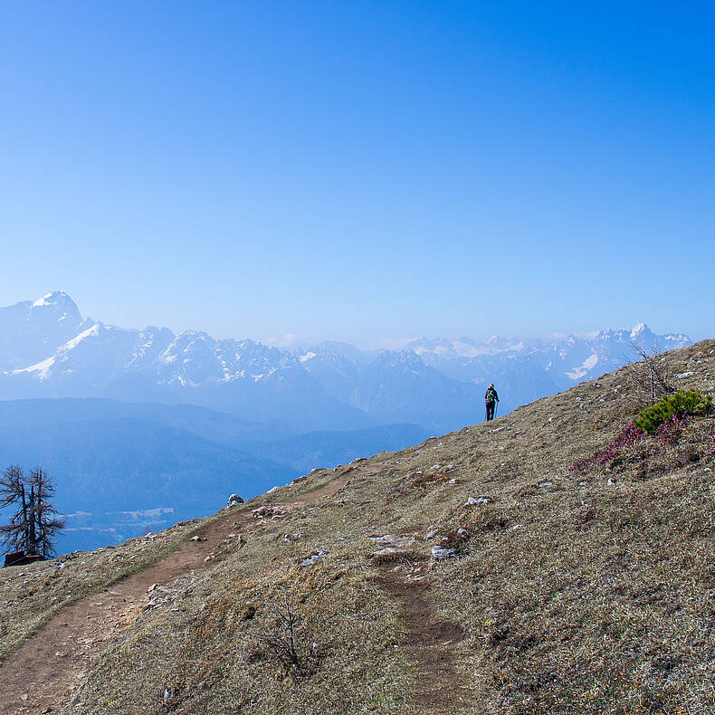 Wandern am Dobratsch