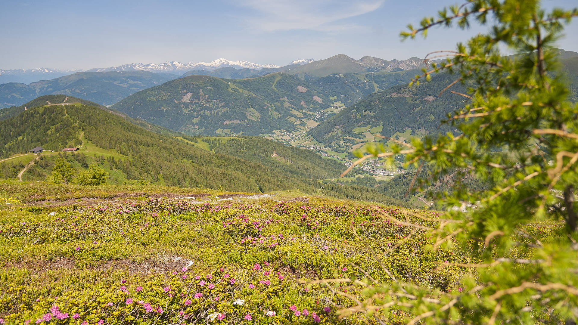 Wöllaner Nock. Nocky Mountains werden die Nockberge im gleichnamigen Biosphärenpark aufgrund ihrer sanften Rundungen oft liebevoll genannt.