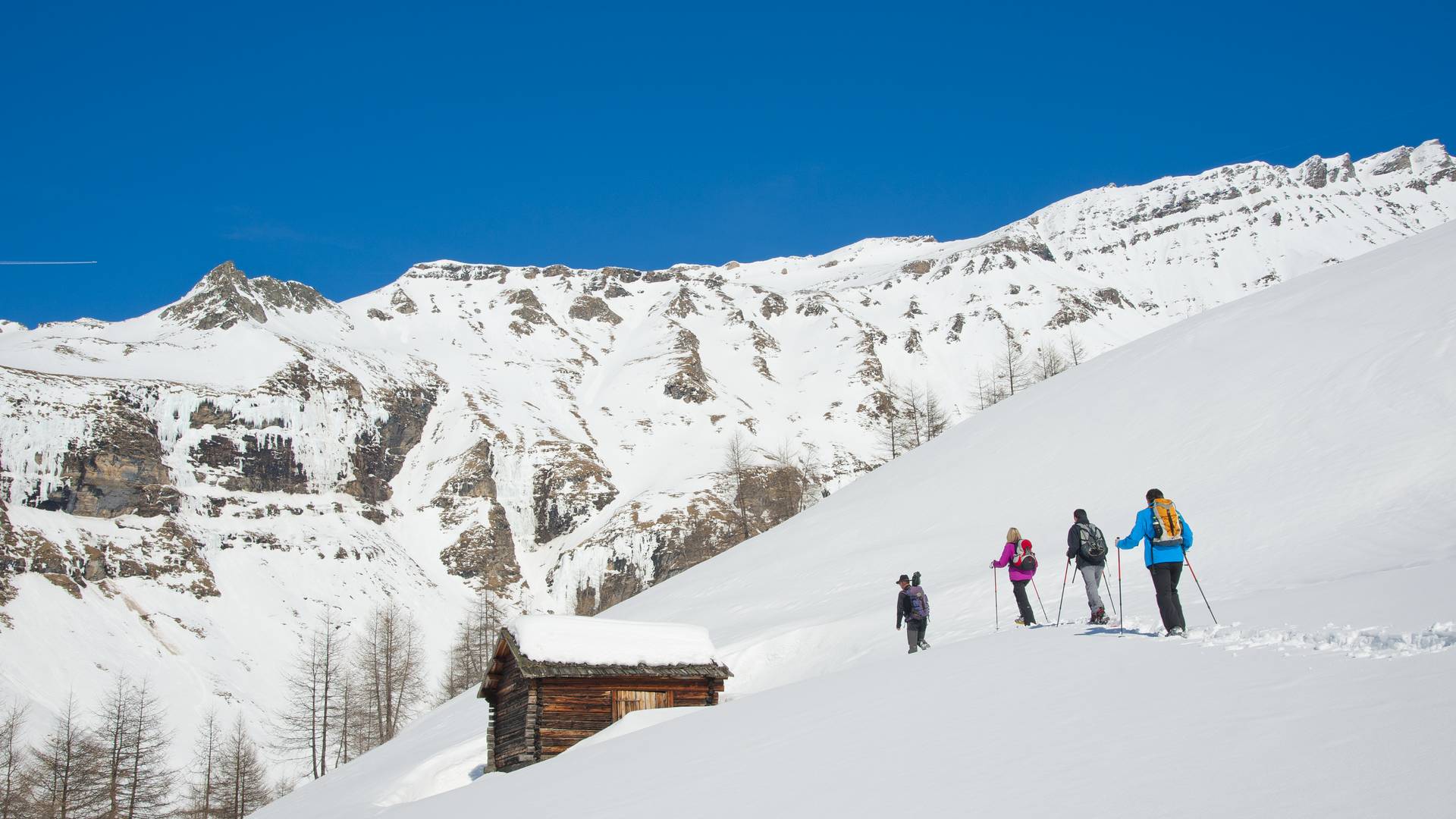 Schneeschuhwanderung Wildtierbeobachtung Hohe Tauern