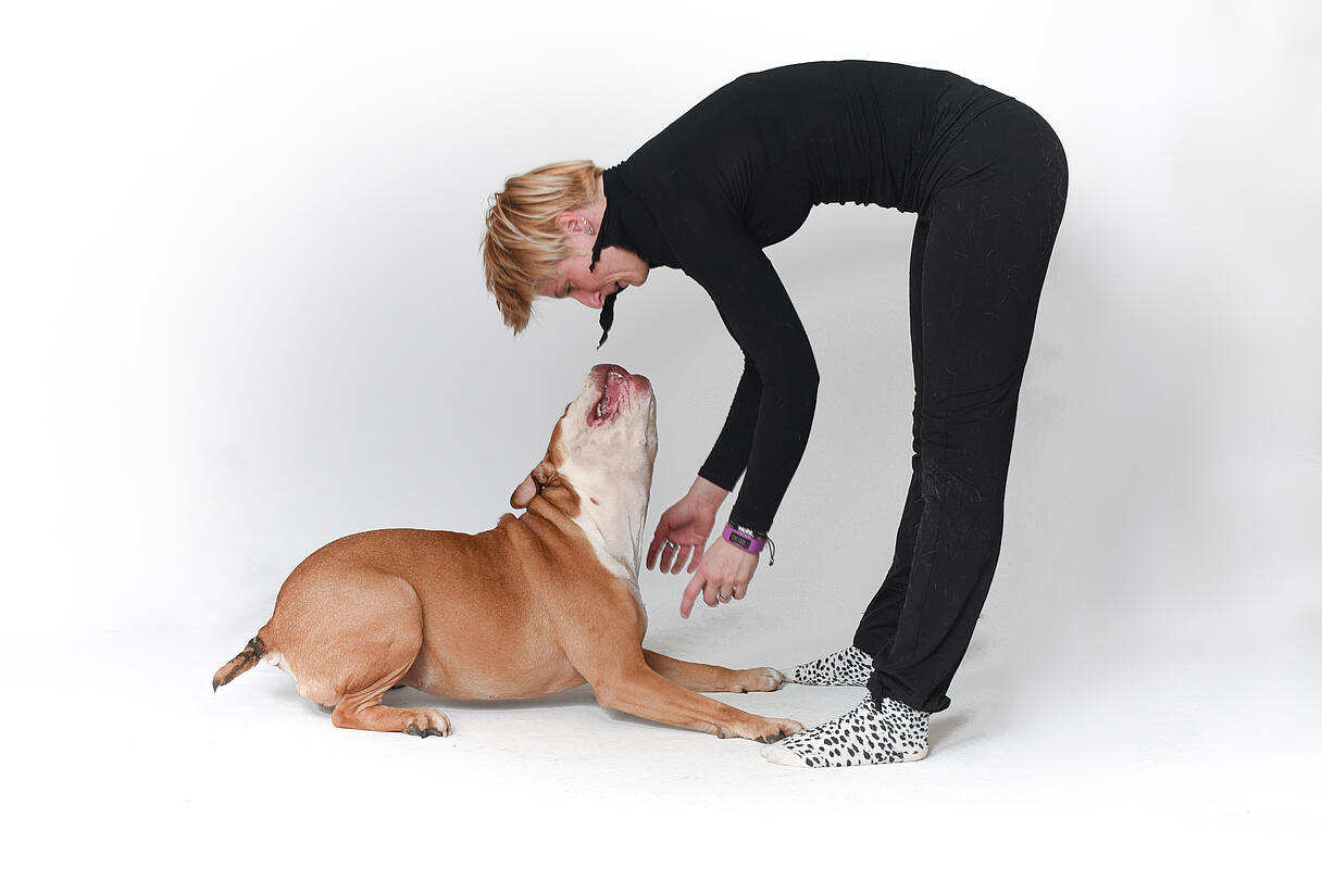 moveyourdog Sabine Struckl moveyourdog Sabine Struckl