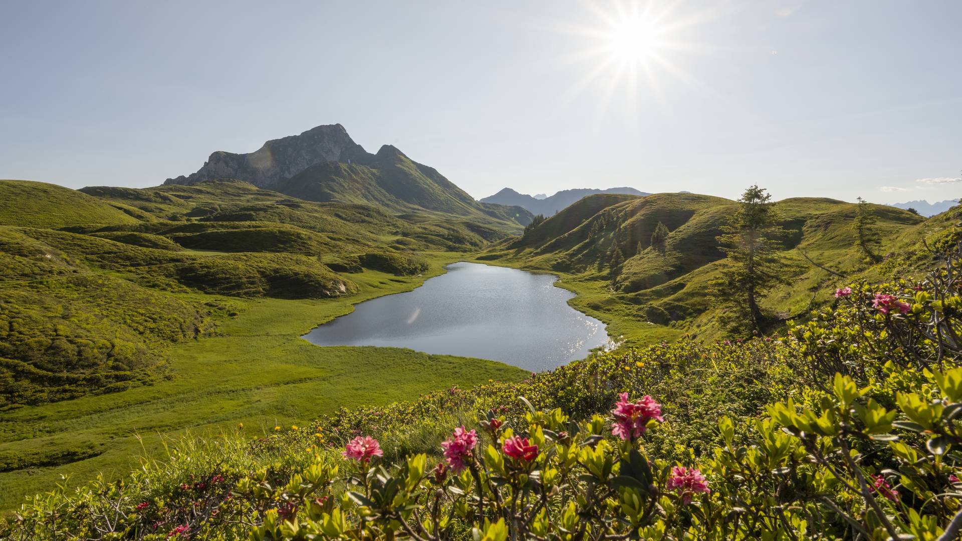 <p>Berglust macht sich breit. Wenn nach dem Winter der&nbsp;Bergfrühling&nbsp;ins Land zieht, erstrahlen die Almen in Kärnten in bunter Pracht! Strahlender Sonnenschein, die Weite der Landschaft und einmalige Ausblicke wie auf den malerischen Zollnersee (am Karnischen Höhenweg gelegen) und die umliegenden Berge inklusive.</p>