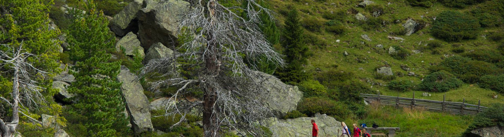 Nationalpark Nockberge