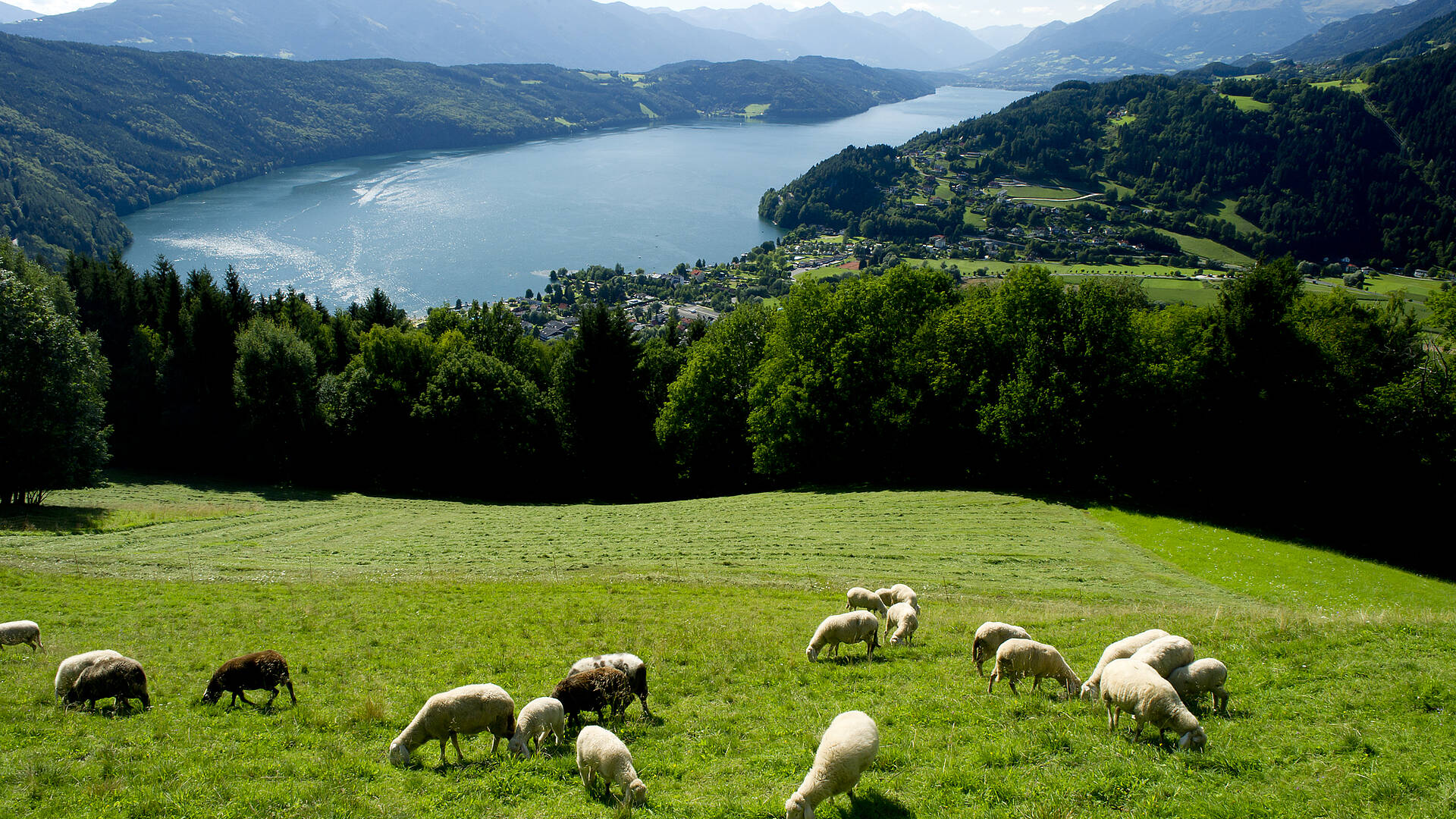 Blick auf den Millstätter See