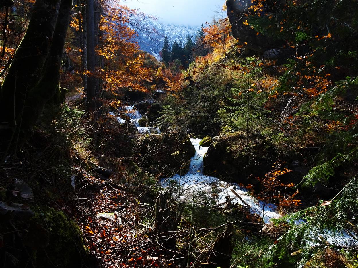 Herbstspaziergang durch den Hajnžgraben, Zell-Pfarre