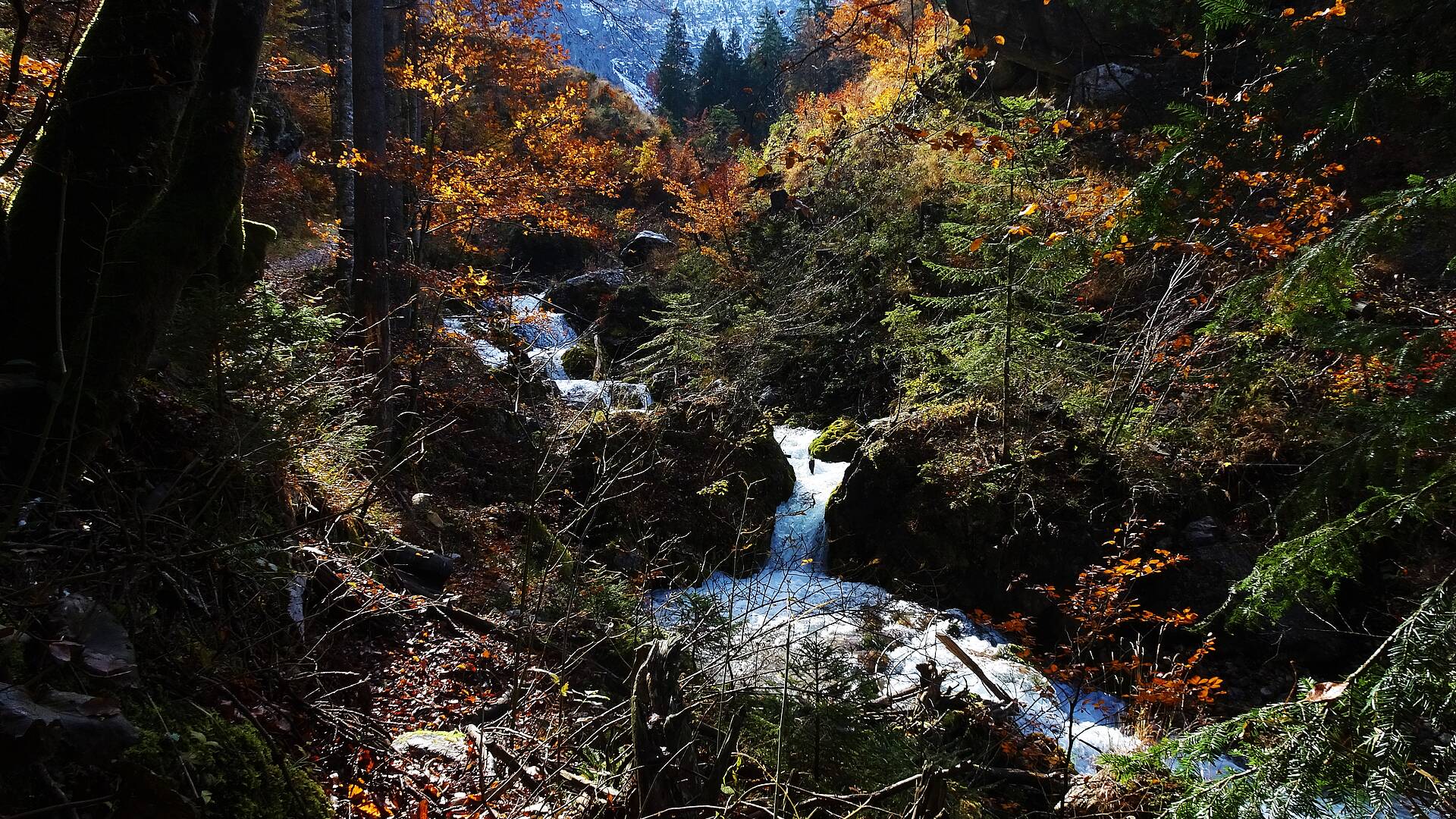 Herbstspaziergang durch den Hajnžgraben, Zell-Pfarre