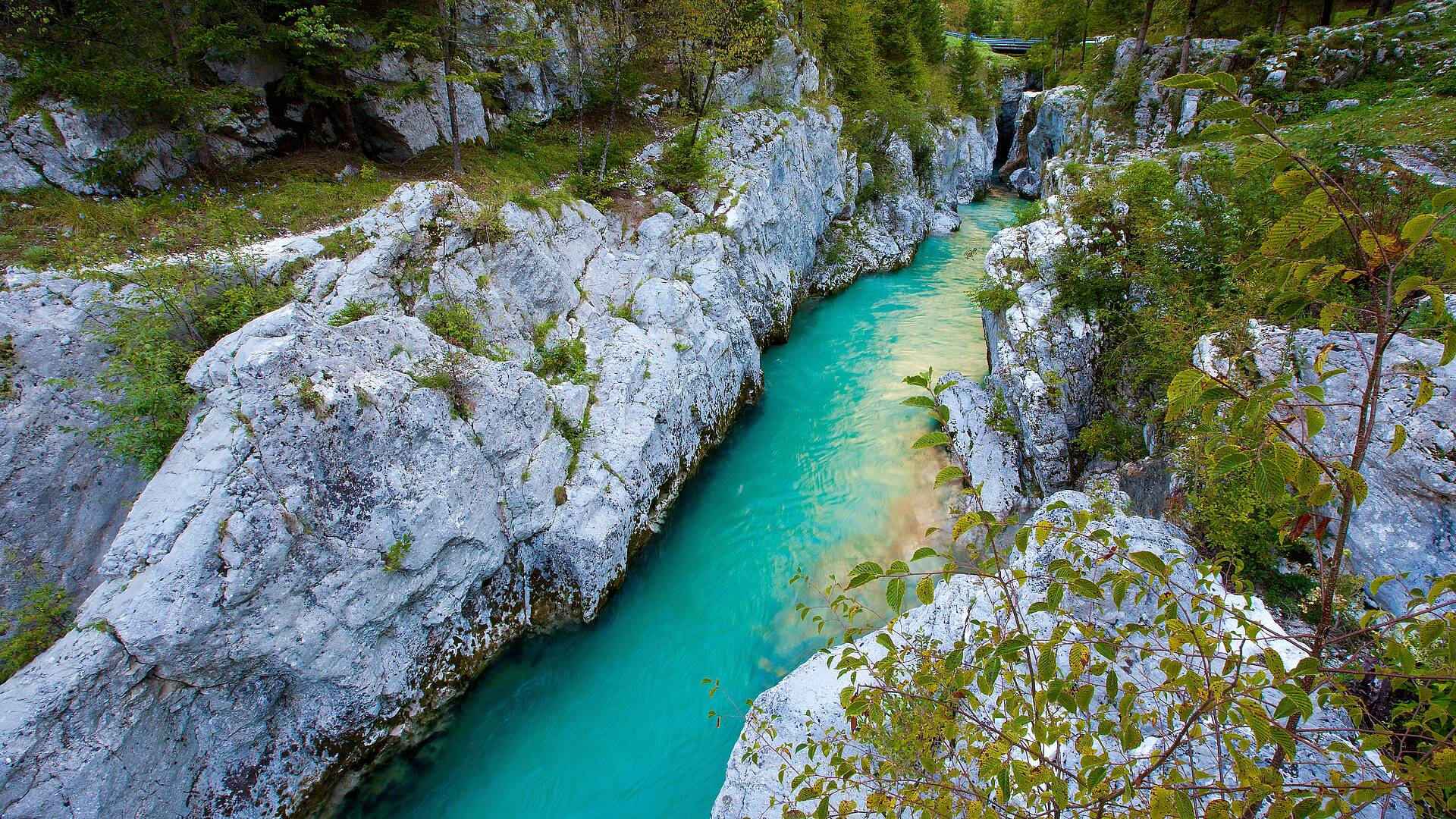 Große Soča Schlucht. Eine der schönsten natürlichen Sehenswürdigkeiten entlang des smaragdgrünen Soča-Flusses. 