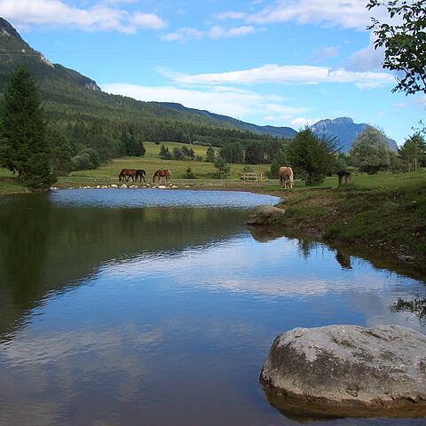 Naturgarten Siebenbrünn in St. Stefan im Gailtal in der Naturarena Kärnten