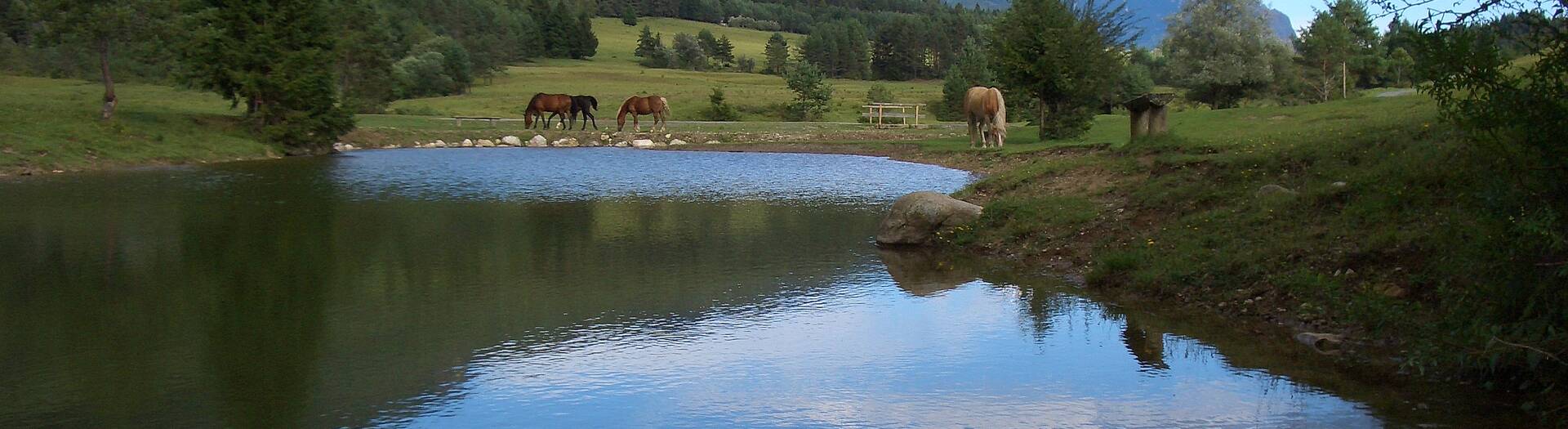 Naturgarten Siebenbrünn in St. Stefan im Gailtal in der Naturarena Kärnten