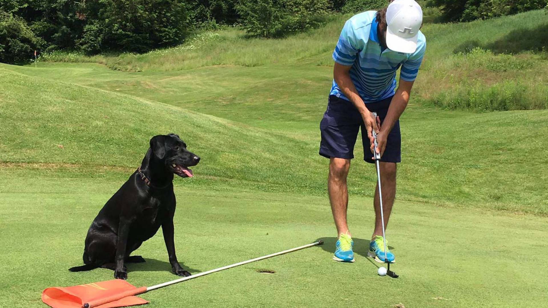 <p>Golfen mit Hund</p>