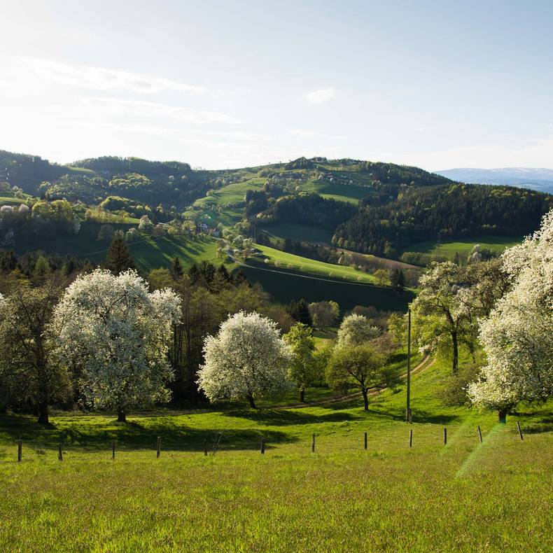 Lavanttal