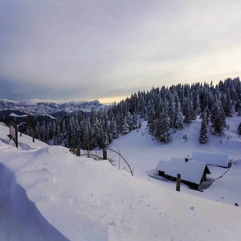 Geführte Vollmond-Schneeschuhwanderung in Kärnten - im Naturpark Dobratsch.