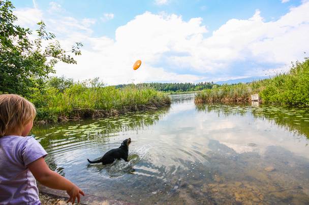 Baden mit Hund am Klopeiner See