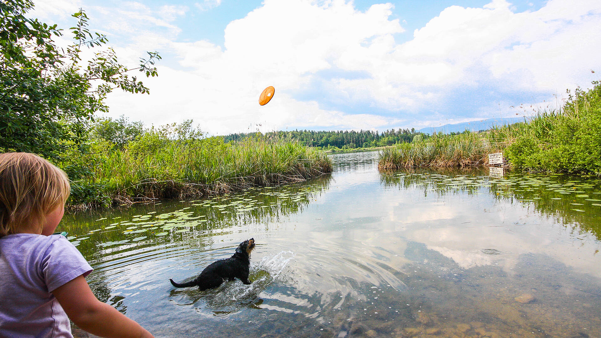 Baden mit Hund am Klopeiner See