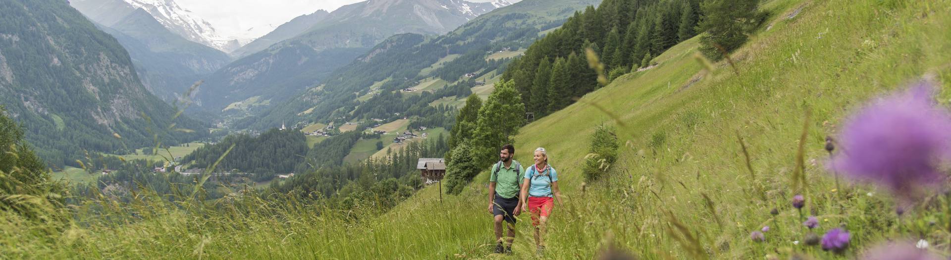 <p>Alpe Adria Trail, bei Schachern mit Blick auf den Glockner, bei Heiligenblut</p>