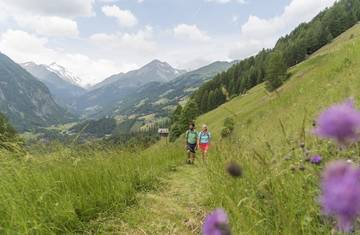 <p>Alpe Adria Trail, bei Schachern mit Blick auf den Glockner, bei Heiligenblut</p>