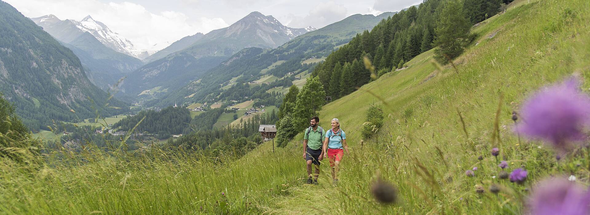 <p>Alpe Adria Trail, bei Schachern mit Blick auf den Glockner, bei Heiligenblut</p>