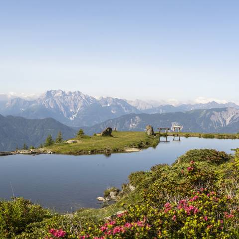 <p>Wenn nach dem Winter der&nbsp;Bergfrühling&nbsp;ins Land zieht, erstrahlen die Almen in Kärnten in bunter Pracht! Strahlender Sonnenschein und einmalige Ausblicke auf Kärntens Bergkulisse und den malerisch gelegenen Knappensee inklusive. Berglust macht sich breit.</p>