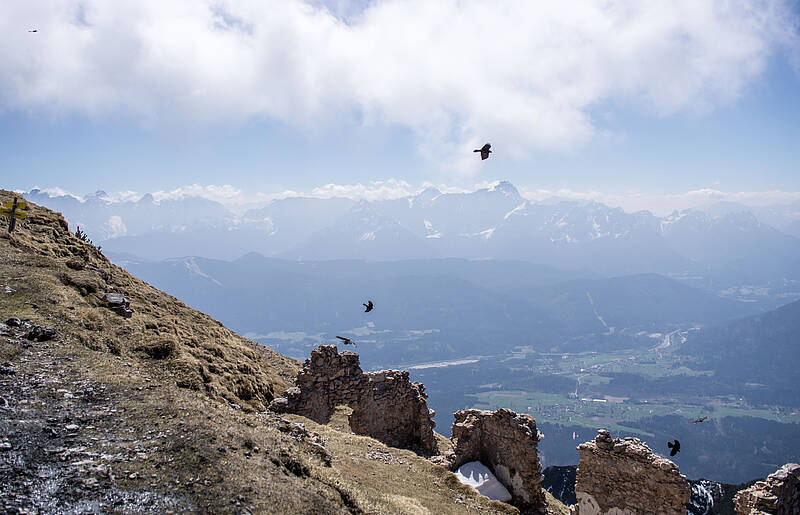 Wandern am Dobratsch