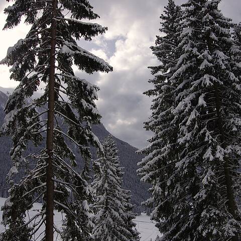 Schneeschuhwandern im Nationalpark Hohe Tauern