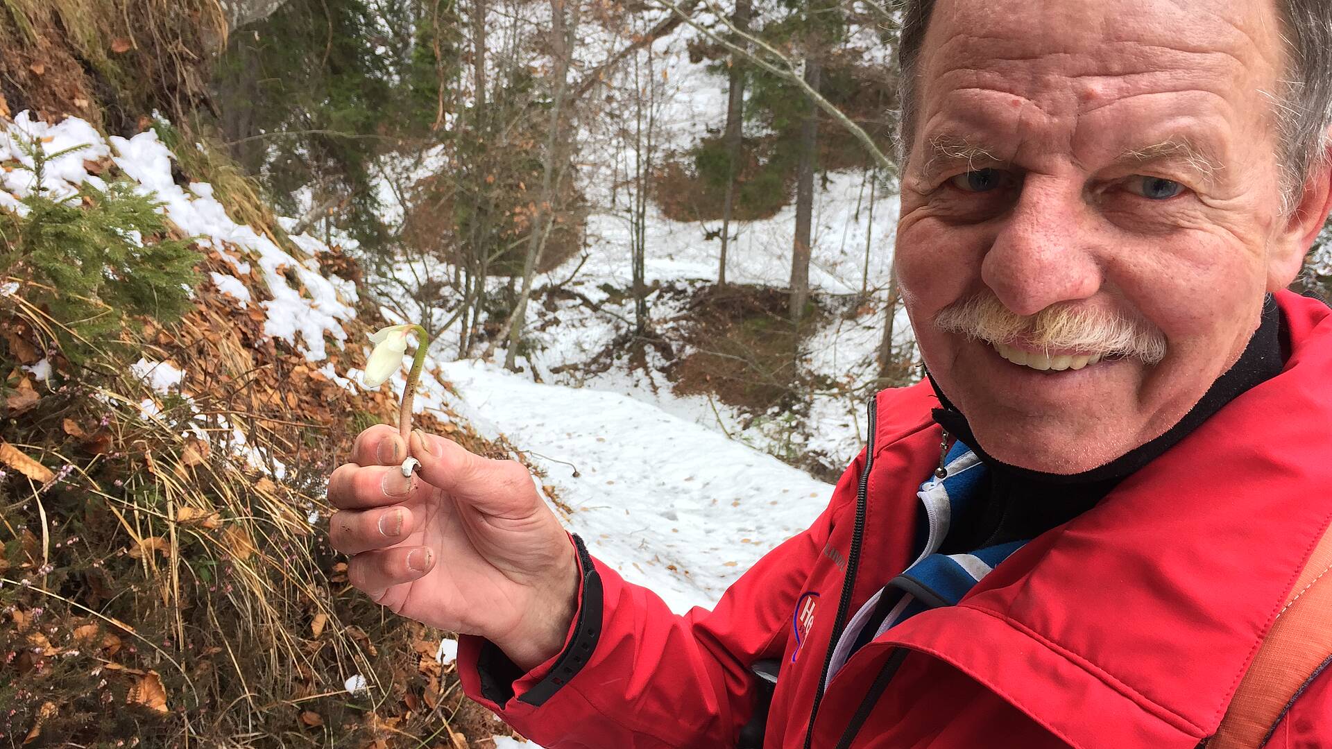 Schneerosenwanderung im Gitschtal