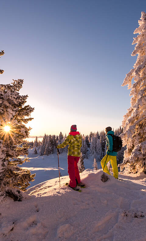 <p>Region Villach Schneeschuhwandern am Dobratsch</p>