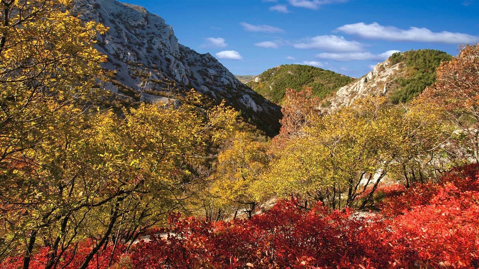 Val Rosandra. Einziger Taleinschnitt des Triestiner Karsts. Beeindruckt als Naturschutzgebiet mit zahlreichen Naturschönheiten und historischen Denkmälern. 