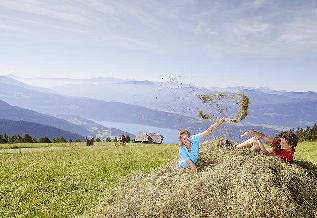 Geschmack der Kindheit - Wandern Millstätter Alpe quer