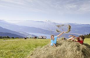 Geschmack der Kindheit - Wandern Millstätter Alpe quer