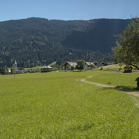 Naturlehrpfad Gösseringgraben im Gitschtal in der Naturarena Kärnten