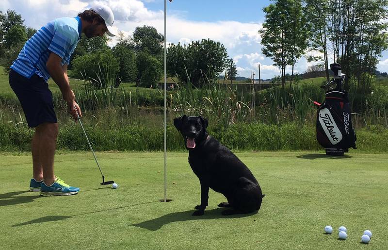 Golfen mit Hund