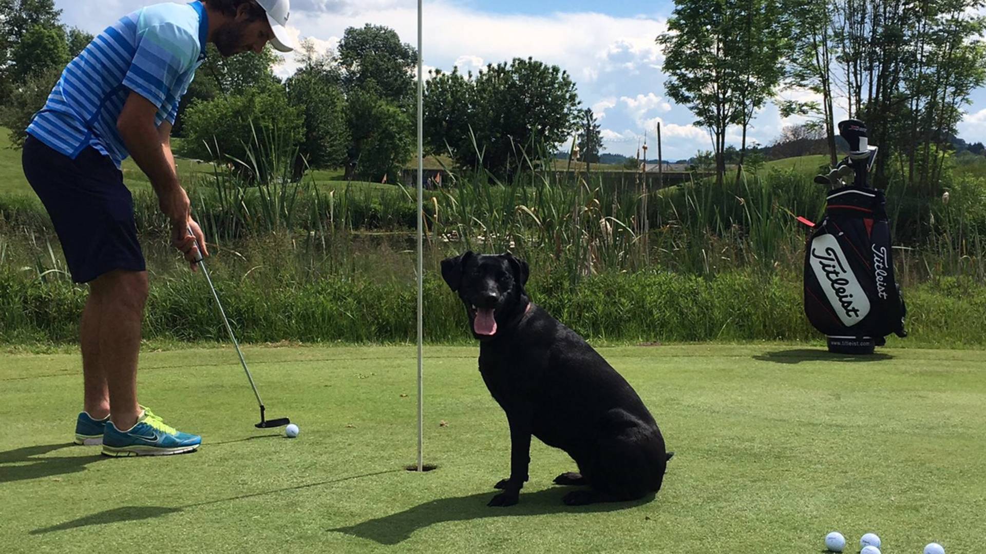 Golfen mit Hund