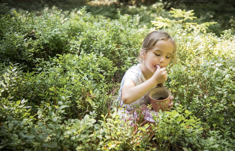 Geschmack der Kindheit - Naturgut Lassen Beeren pflücken