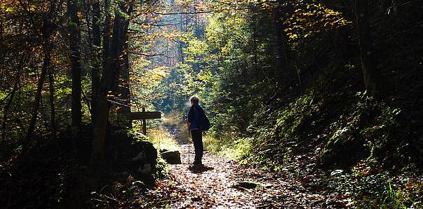 Herbstspaziergang durch den Hajnžgraben, Zell-Pfarre